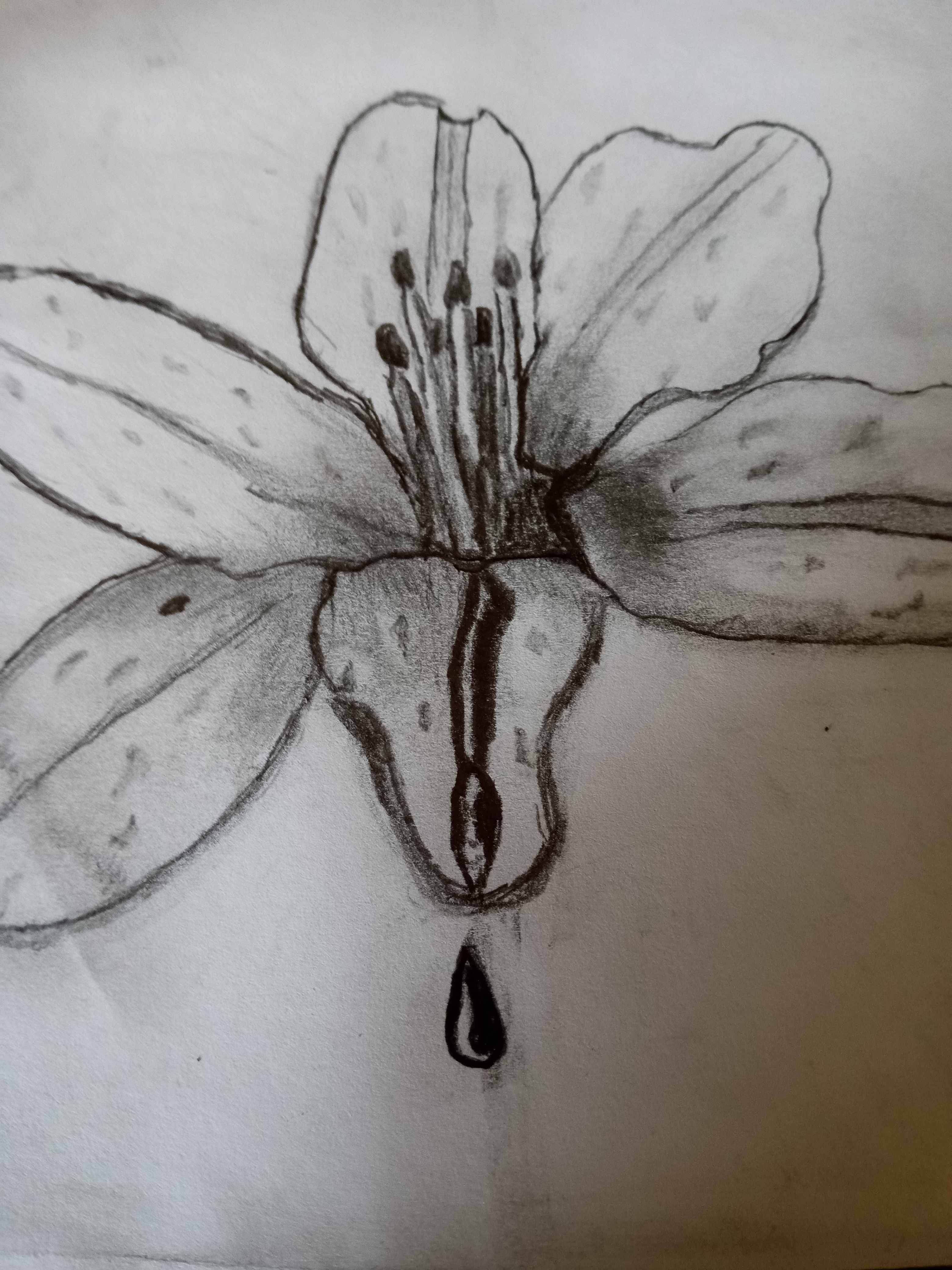 Lunals, ascendance: dusks aftermath chapter 2