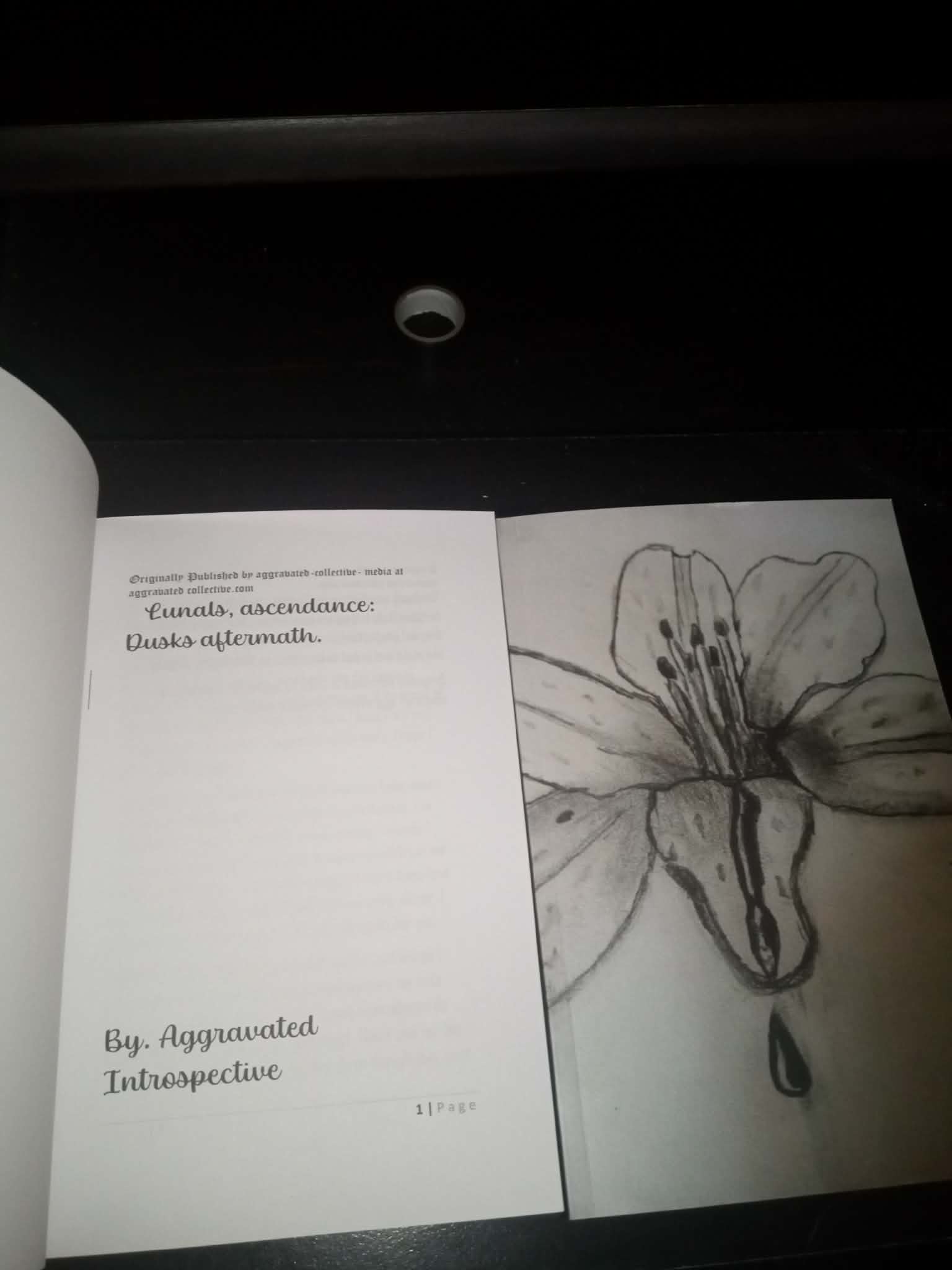 lunals ascendance: dusks aftermath paperback